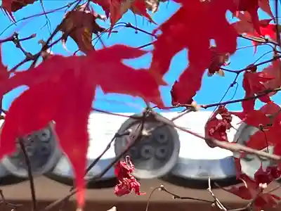 清水寺(長野県)