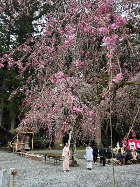 小國神社(静岡県)