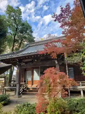 妙法寺(東京都)