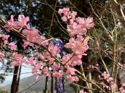 坂本八幡神社(徳島県)