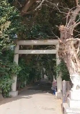 岩槻久伊豆神社の鳥居