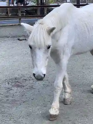 丹生川上神社（下社）(奈良県)