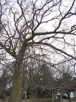 厚別神社(北海道)