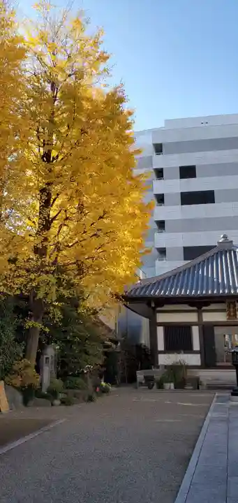 秋葉神社のその他建物