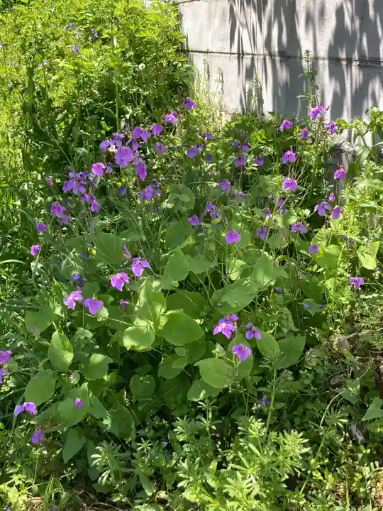 弁財天(下出縄)(神奈川県)