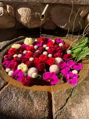 生田神社の手水舎