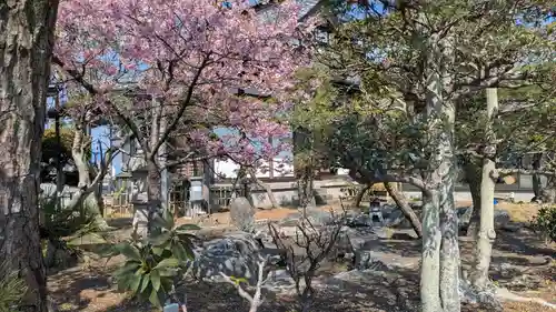 自性院の庭園