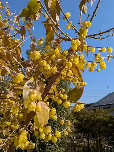 北野神社(東京都)