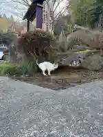 西円寺の{uncategorized: "未分類", other: "その他", undefined: "問題あり", building: "その他建物", grave: "お墓", sacred_gate: "鳥居", guardian: "狛犬", statue: "像", buddha: "仏像", history: "歴史", nature: "自然", garden: "庭園", animal: "動物", pagoda: "塔", temizu: "手水舎", mountain_gate: "山門・神門", sanctuary: "本殿・本堂", subordinate: "末社・摂社", art: "芸術", scenery: "景色", jizo: "地蔵", ema: "絵馬", goshuin: "御朱印", omikuji: "おみくじ", items: "授与品その他", amulet: "お守り", goshuincho: "御朱印帳", eats: "食事", festival: "お祭り", votive_dance: "神楽", shichigosan: "七五三参", wedding: "結婚式", experience: "体験その他", initially: "初詣", around: "周辺", anti_infection: "感染症対策"}