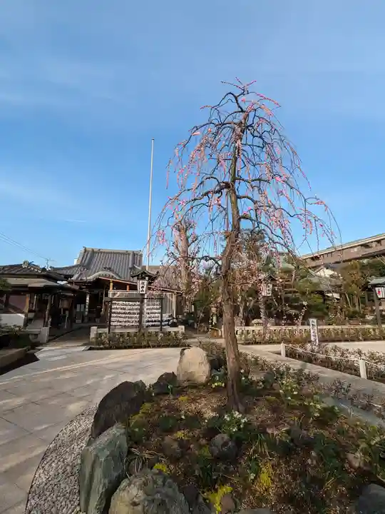 常性寺(東京都)