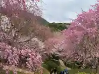 久延彦神社(奈良県)
