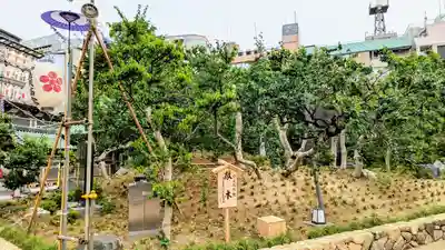 湯島天満宮の庭園