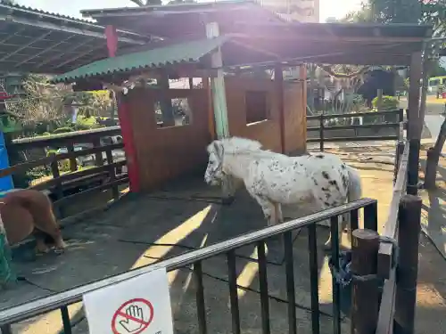 五方山熊野神社の{uncategorized: "未分類", other: "その他", undefined: "問題あり", building: "その他建物", grave: "お墓", sacred_gate: "鳥居", guardian: "狛犬", statue: "像", buddha: "仏像", history: "歴史", nature: "自然", garden: "庭園", animal: "動物", pagoda: "塔", temizu: "手水舎", mountain_gate: "山門・神門", sanctuary: "本殿・本堂", subordinate: "末社・摂社", art: "芸術", scenery: "景色", jizo: "地蔵", ema: "絵馬", goshuin: "御朱印", omikuji: "おみくじ", items: "授与品その他", amulet: "お守り", goshuincho: "御朱印帳", eats: "食事", festival: "お祭り", votive_dance: "神楽", shichigosan: "七五三参", wedding: "結婚式", experience: "体験その他", initially: "初詣", around: "周辺", anti_infection: "感染症対策"}