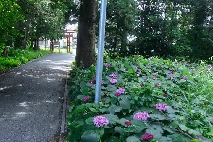 中山神社(埼玉県)
