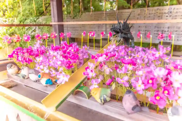 國分八幡宮(香川県)