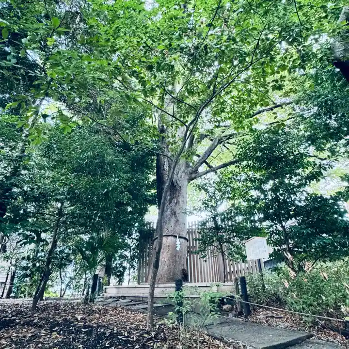 鎮守氷川神社(埼玉県)