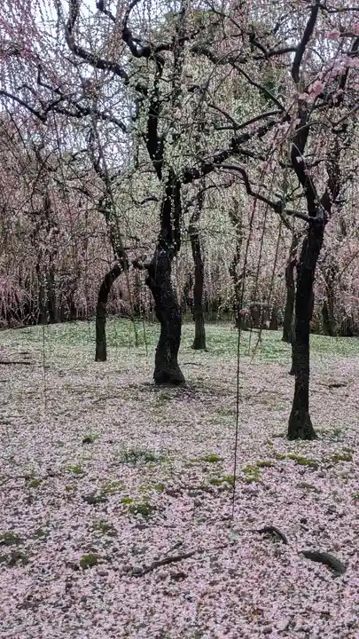 城南宮(京都府)