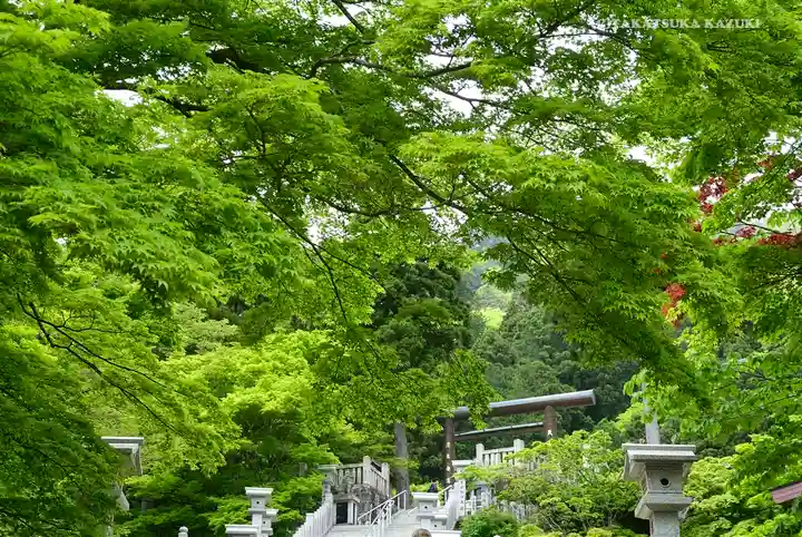 大山阿夫利神社の自然