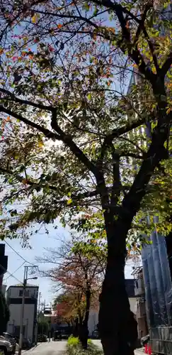 蒲原神社の自然