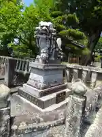 貝洲加藤神社の狛犬