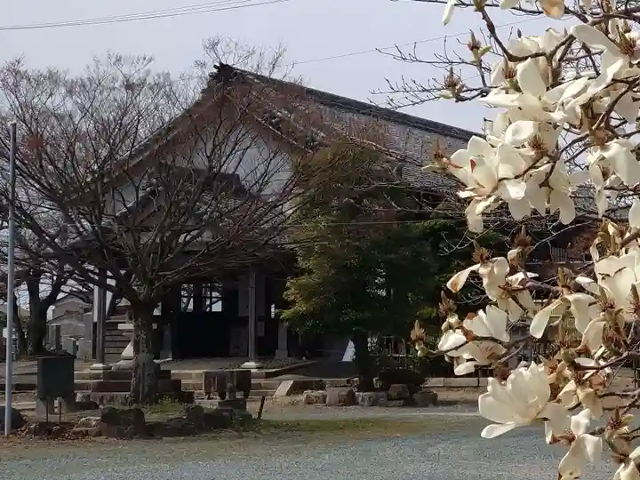 浄徳寺(愛知県)