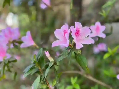 普天満山神宮寺の自然
