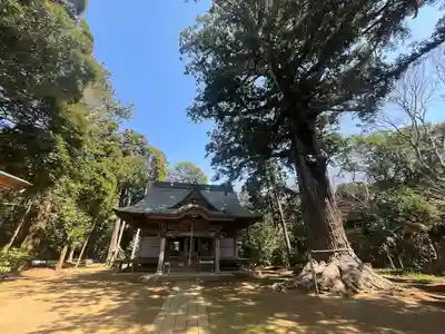 松山神社(千葉県)