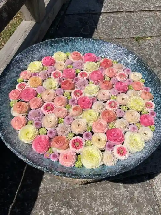 行田八幡神社の{uncategorized: "未分類", other: "その他", undefined: "問題あり", building: "その他建物", grave: "お墓", sacred_gate: "鳥居", guardian: "狛犬", statue: "像", buddha: "仏像", history: "歴史", nature: "自然", garden: "庭園", animal: "動物", pagoda: "塔", temizu: "手水舎", mountain_gate: "山門・神門", sanctuary: "本殿・本堂", subordinate: "末社・摂社", art: "芸術", scenery: "景色", jizo: "地蔵", ema: "絵馬", goshuin: "御朱印", omikuji: "おみくじ", items: "授与品その他", amulet: "お守り", goshuincho: "御朱印帳", eats: "食事", festival: "お祭り", votive_dance: "神楽", shichigosan: "七五三参", wedding: "結婚式", experience: "体験その他", initially: "初詣", around: "周辺", anti_infection: "感染症対策"}