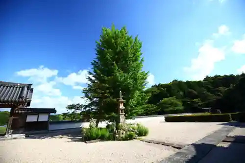 本性寺のその他建物