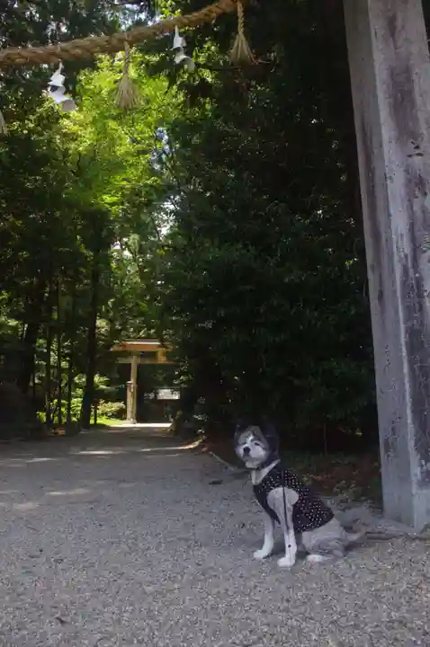 伊和神社の動物