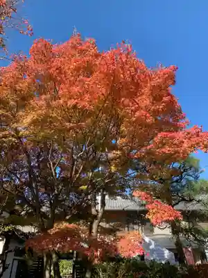 東福禅寺(東福寺)(京都府)