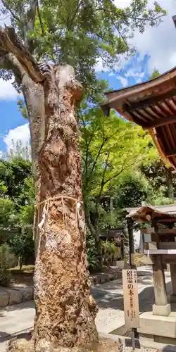 大将軍八神社(京都府)
