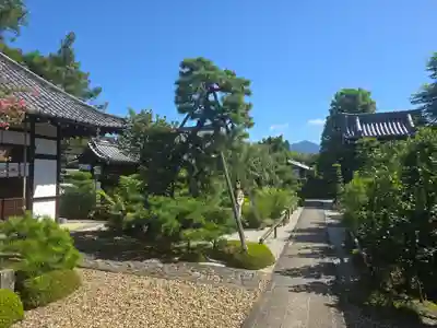 天寧寺(京都府)