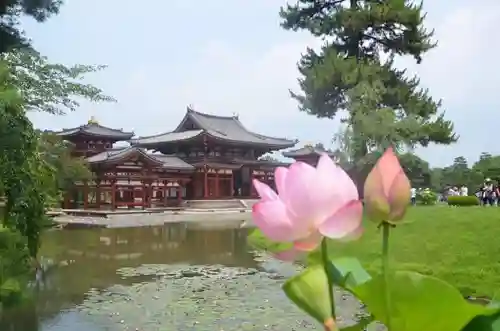 平等院のその他建物