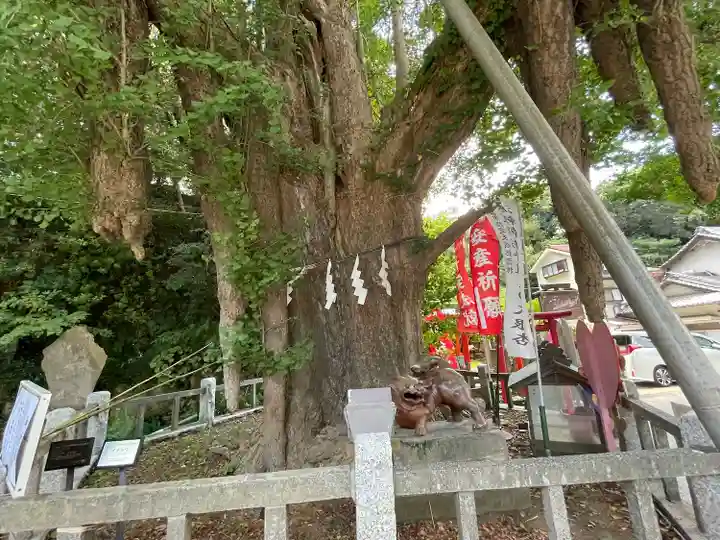 海南神社(神奈川県)