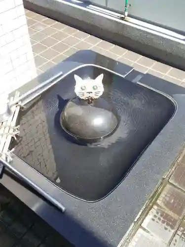 真成院の手水舎