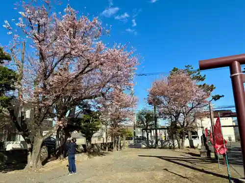 苗穂神社(北海道)
