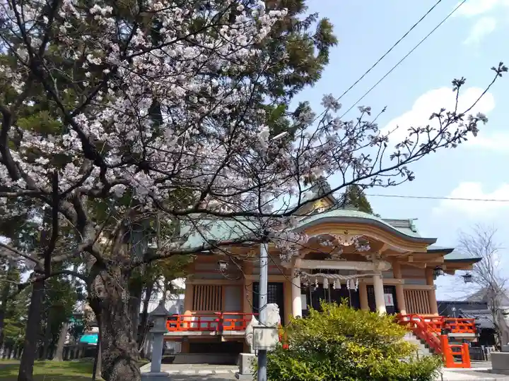 櫻谷神社(福井県)