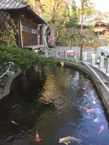 相模国総社六所神社の庭園