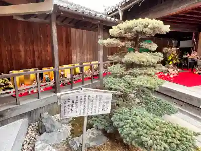 阿智神社の{uncategorized: "未分類", other: "その他", undefined: "問題あり", building: "その他建物", grave: "お墓", sacred_gate: "鳥居", guardian: "狛犬", statue: "像", buddha: "仏像", history: "歴史", nature: "自然", garden: "庭園", animal: "動物", pagoda: "塔", temizu: "手水舎", mountain_gate: "山門・神門", sanctuary: "本殿・本堂", subordinate: "末社・摂社", art: "芸術", scenery: "景色", jizo: "地蔵", ema: "絵馬", goshuin: "御朱印", omikuji: "おみくじ", items: "授与品その他", amulet: "お守り", goshuincho: "御朱印帳", eats: "食事", festival: "お祭り", votive_dance: "神楽", shichigosan: "七五三参", wedding: "結婚式", experience: "体験その他", initially: "初詣", around: "周辺", anti_infection: "感染症対策"}