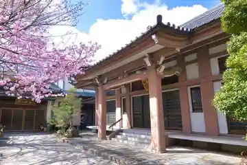 徳泉寺の本殿・本堂