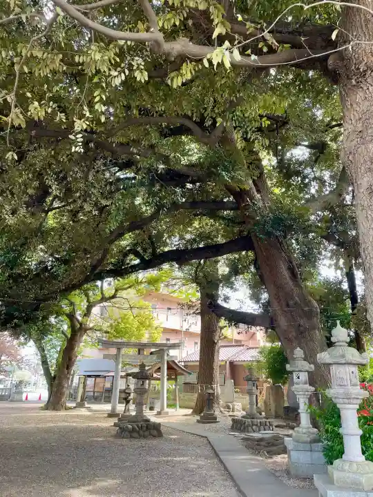 諏訪大神社 の{uncategorized: "未分類", other: "その他", undefined: "問題あり", building: "その他建物", grave: "お墓", sacred_gate: "鳥居", guardian: "狛犬", statue: "像", buddha: "仏像", history: "歴史", nature: "自然", garden: "庭園", animal: "動物", pagoda: "塔", temizu: "手水舎", mountain_gate: "山門・神門", sanctuary: "本殿・本堂", subordinate: "末社・摂社", art: "芸術", scenery: "景色", jizo: "地蔵", ema: "絵馬", goshuin: "御朱印", omikuji: "おみくじ", items: "授与品その他", amulet: "お守り", goshuincho: "御朱印帳", eats: "食事", festival: "お祭り", votive_dance: "神楽", shichigosan: "七五三参", wedding: "結婚式", experience: "体験その他", initially: "初詣", around: "周辺", anti_infection: "感染症対策"}