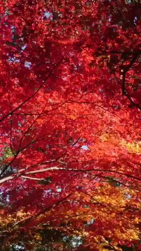 葛城一言主神社(奈良県)