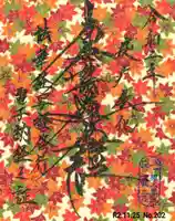 宗徳寺の御朱印