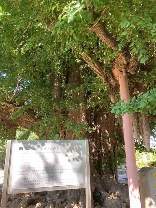 千葉寺(千葉県)