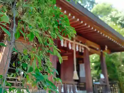 飛鳥坐神社(奈良県)