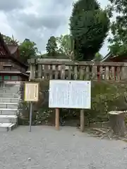 鹿児島神宮(鹿児島県)