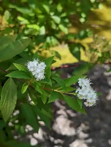 勝林寺(京都府)
