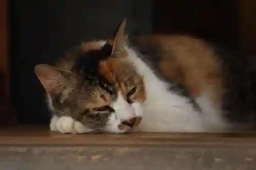 玉野御嶽神社(愛知県)