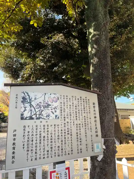 新曽氷川神社(埼玉県)